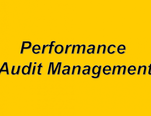 Performance Audit Management